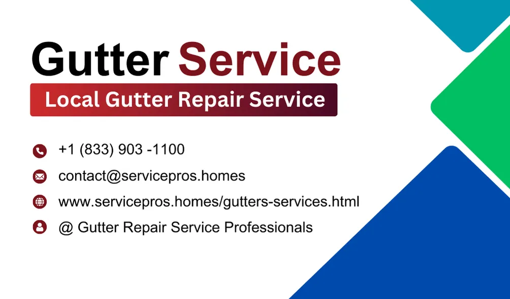 Gutter Cleaning & Installation professional at work