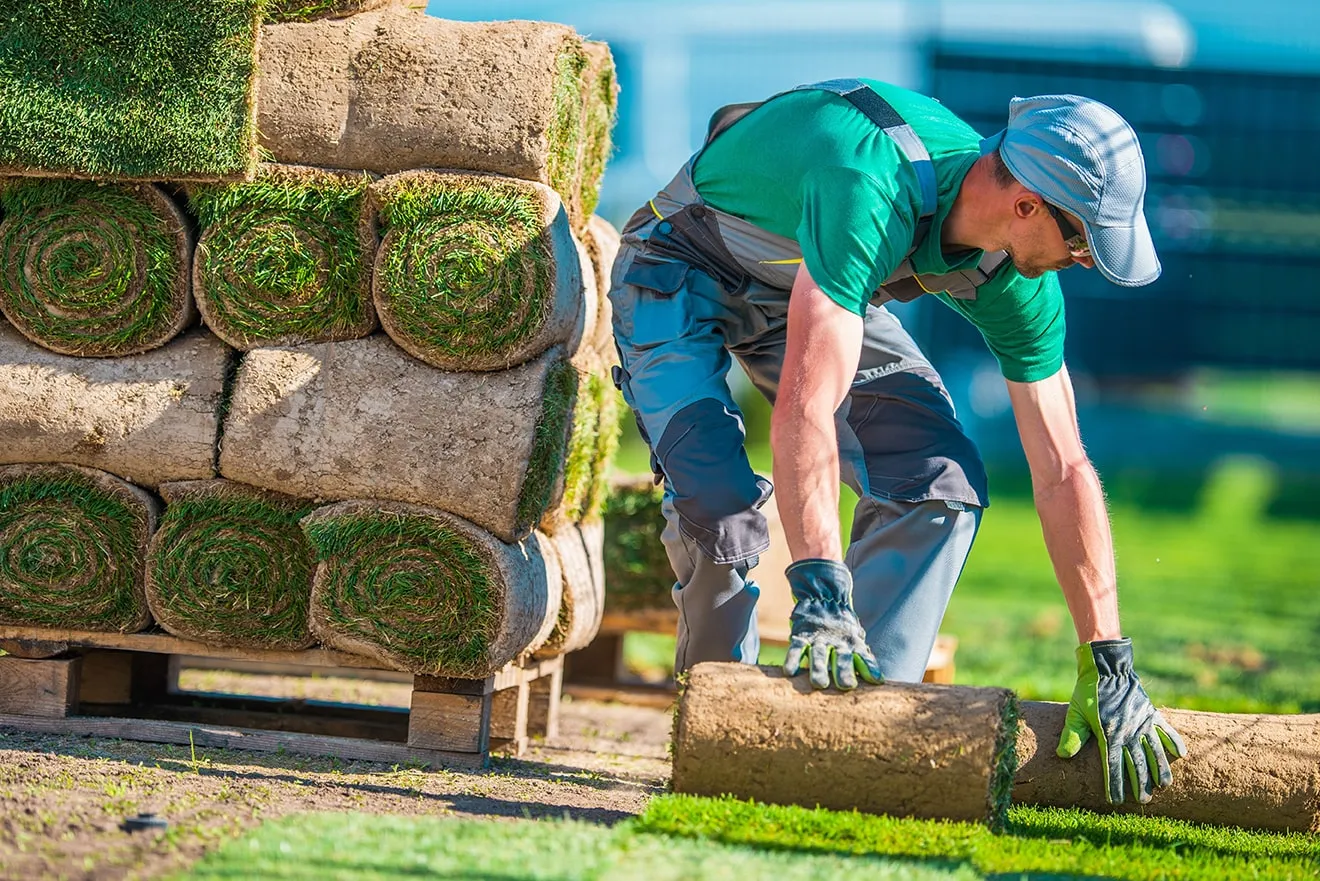 Landscaping & Lawn Care professional at work