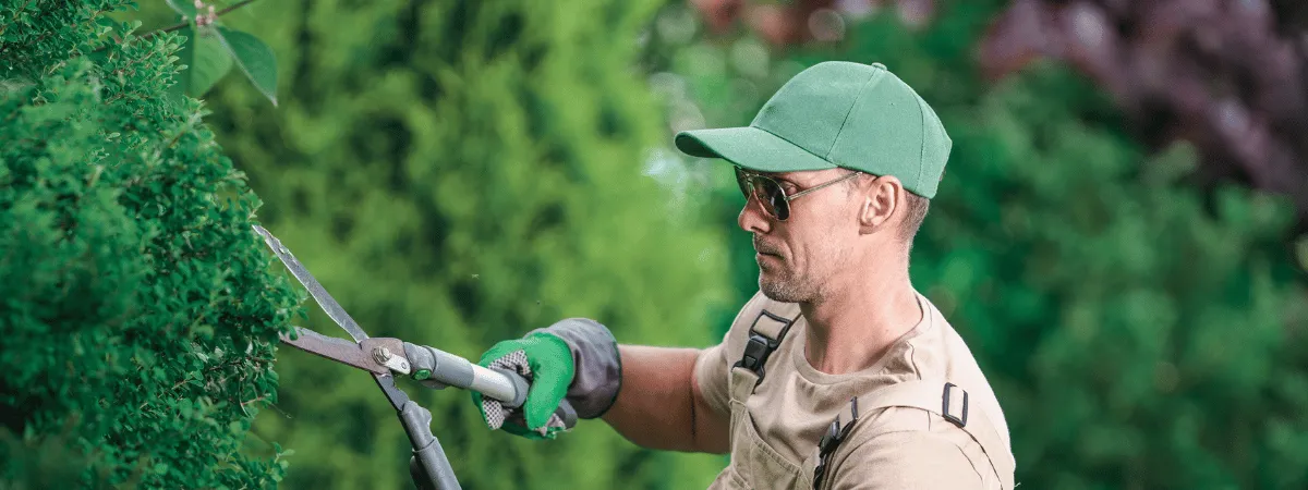 Professional Landscaping & Lawn Care Diagnostic and Repair Service — ServiceFind.Center