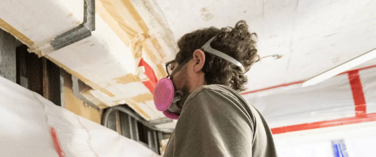 Professional Mold Remediation & Removal Diagnostic and Repair Service — ServiceFind.Center