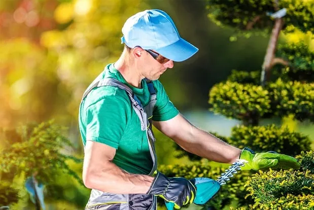 Landscaping & Lawn Care verified professional