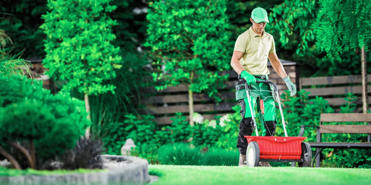Landscaping & Lawn Care process in action
