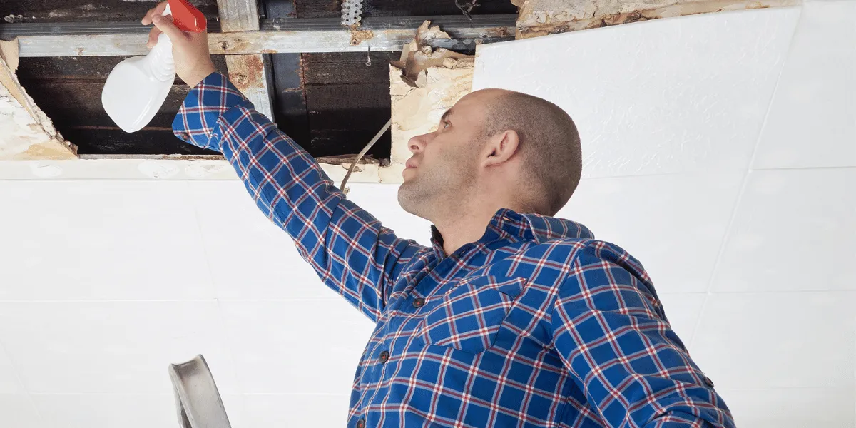 Mold Remediation & Removal professional at work