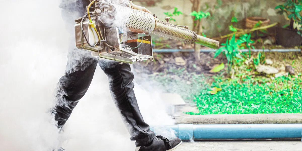 Professional Pest Control Services Diagnostic and Repair Service — ServiceFind.Center