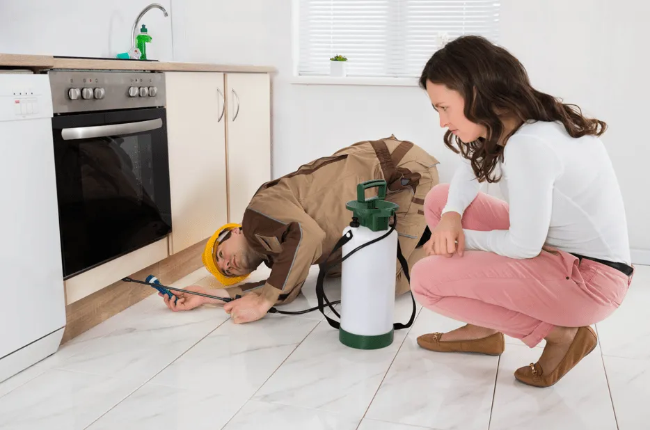 Pest Control Services verified professional