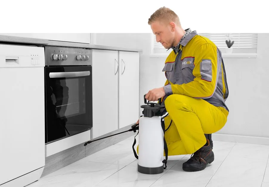 Pest Control Services completed restoration