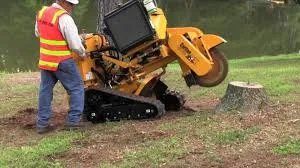 Tree Service & Trimming process in action