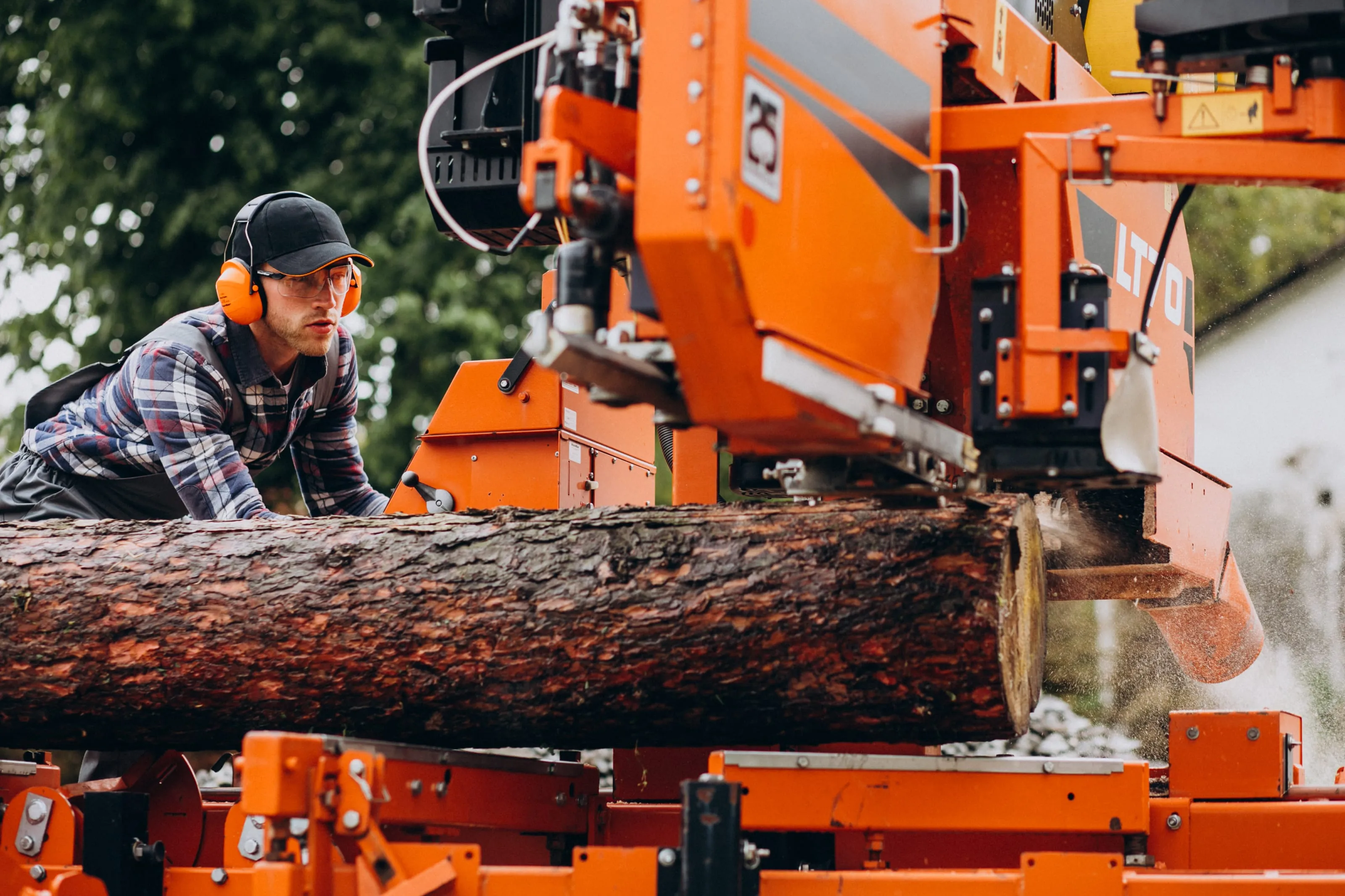 Professional Tree Service & Trimming Diagnostic and Repair Service — ServiceFind.Center
