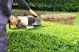Tree Service & Trimming professional at work