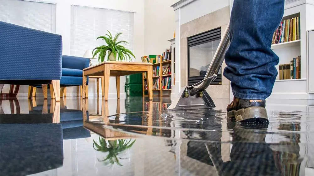 Professional Basement Waterproofing Diagnostic and Repair Service — ServiceFind.Center